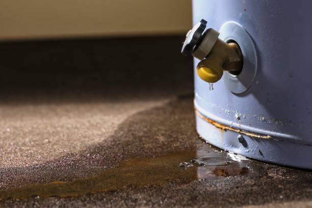 Best Flood restoration services  in Breckenridge, MN