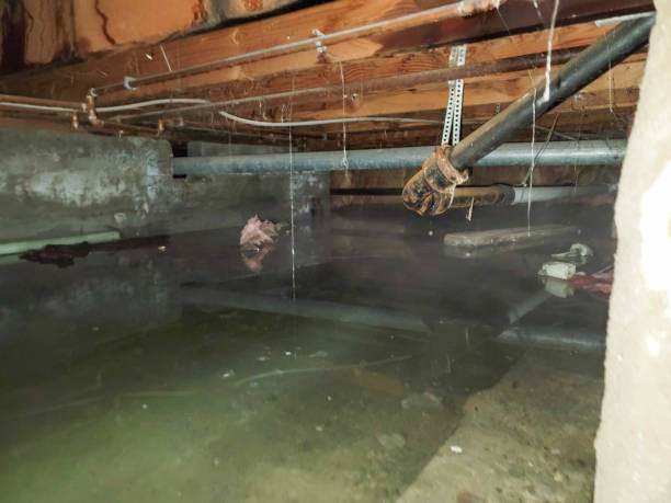 Water damage restoration insurance claims in Breckenridge, MN