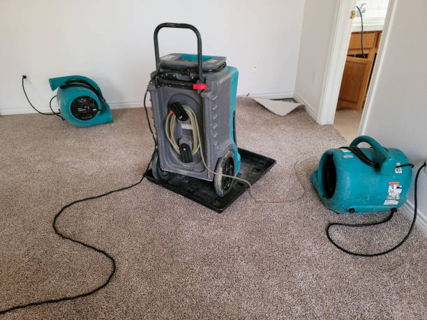 Best Sewage cleanup and water damage restoration  in Breckenridge, MN