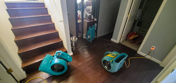 Best Water damage contractors near me  in Breckenridge, MN