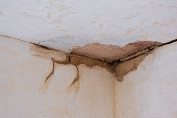 Best Professional water damage repair  in Breckenridge, MN