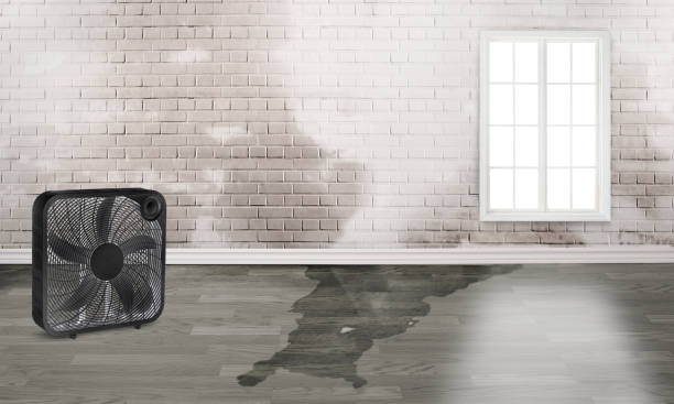 Best Water damage restoration experts  in Breckenridge, MN