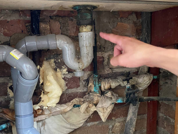 Best Flood damage cleanup  in Breckenridge, MN