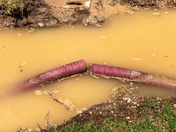 Best 24-hour water damage restoration  in Breckenridge, MN