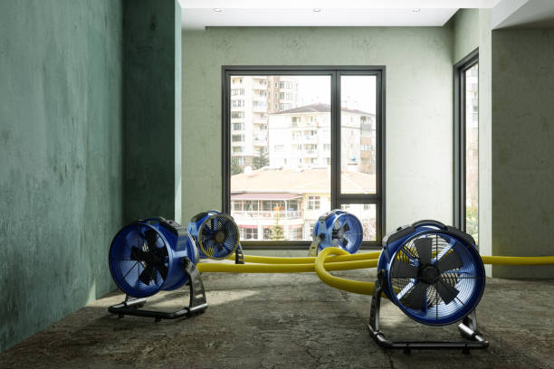 Best Water damage restoration services  in Breckenridge, MN