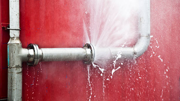 Best Local water damage restoration  in Breckenridge, MN